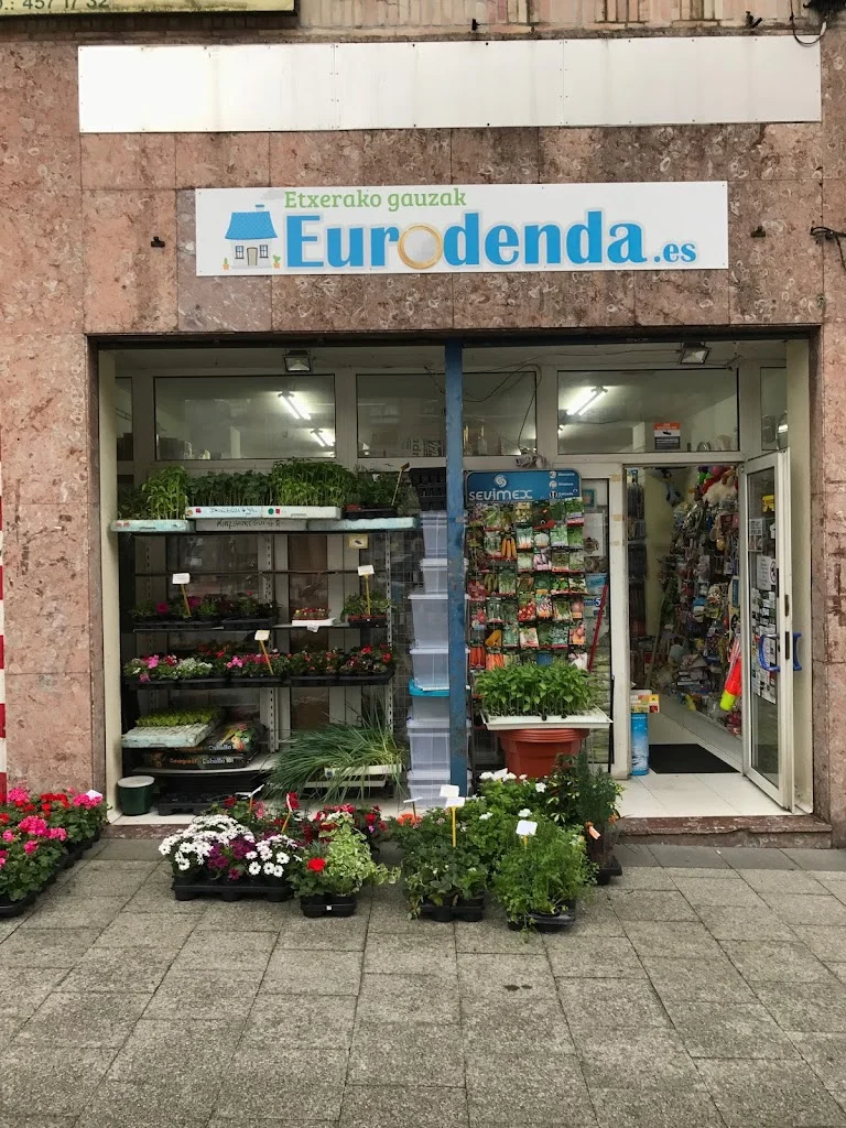 Foto 3 de Eurodenda