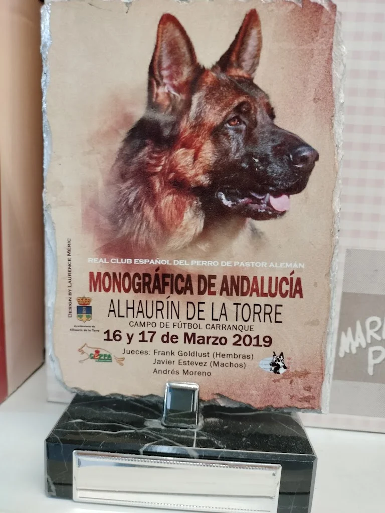 Trofeos Hobby Carhy